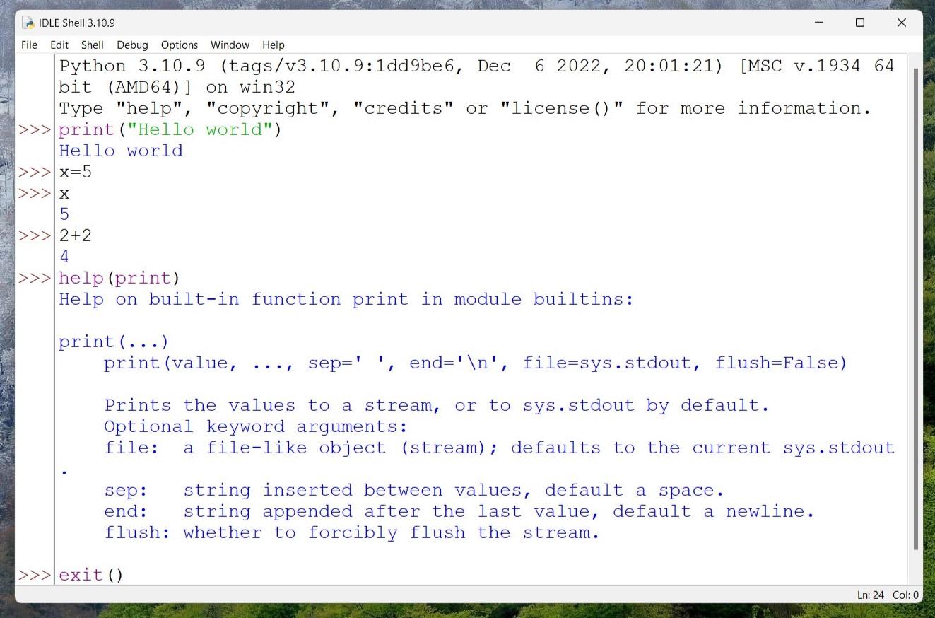 Working of python interpreter